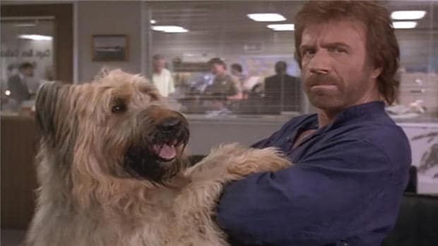 TRECE nos ofrece el mejor cine de acción con Chuck Norris