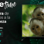 El canal gratuito de Nature Time llega a Tivify